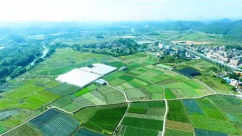鸿丽公司基地大图.jpg