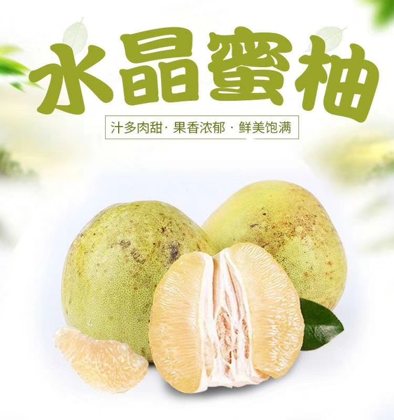 傣柚.jpg