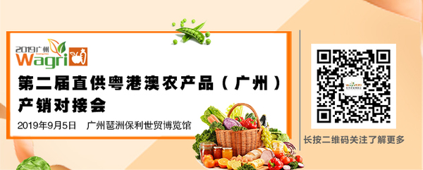粤港澳微信banner.jpg