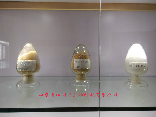 肥业.jpg