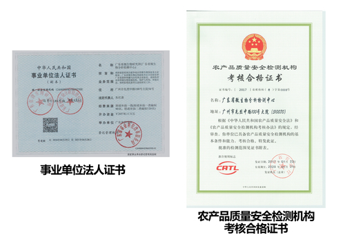 证书2.jpg