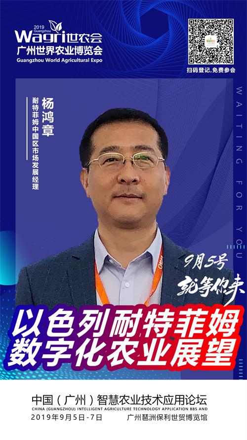 耐特菲姆.jpg