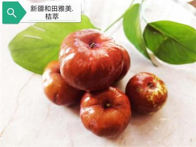 文章附图