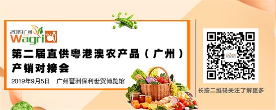 粤港澳微信banner.jpg
