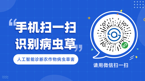 识农.jpg