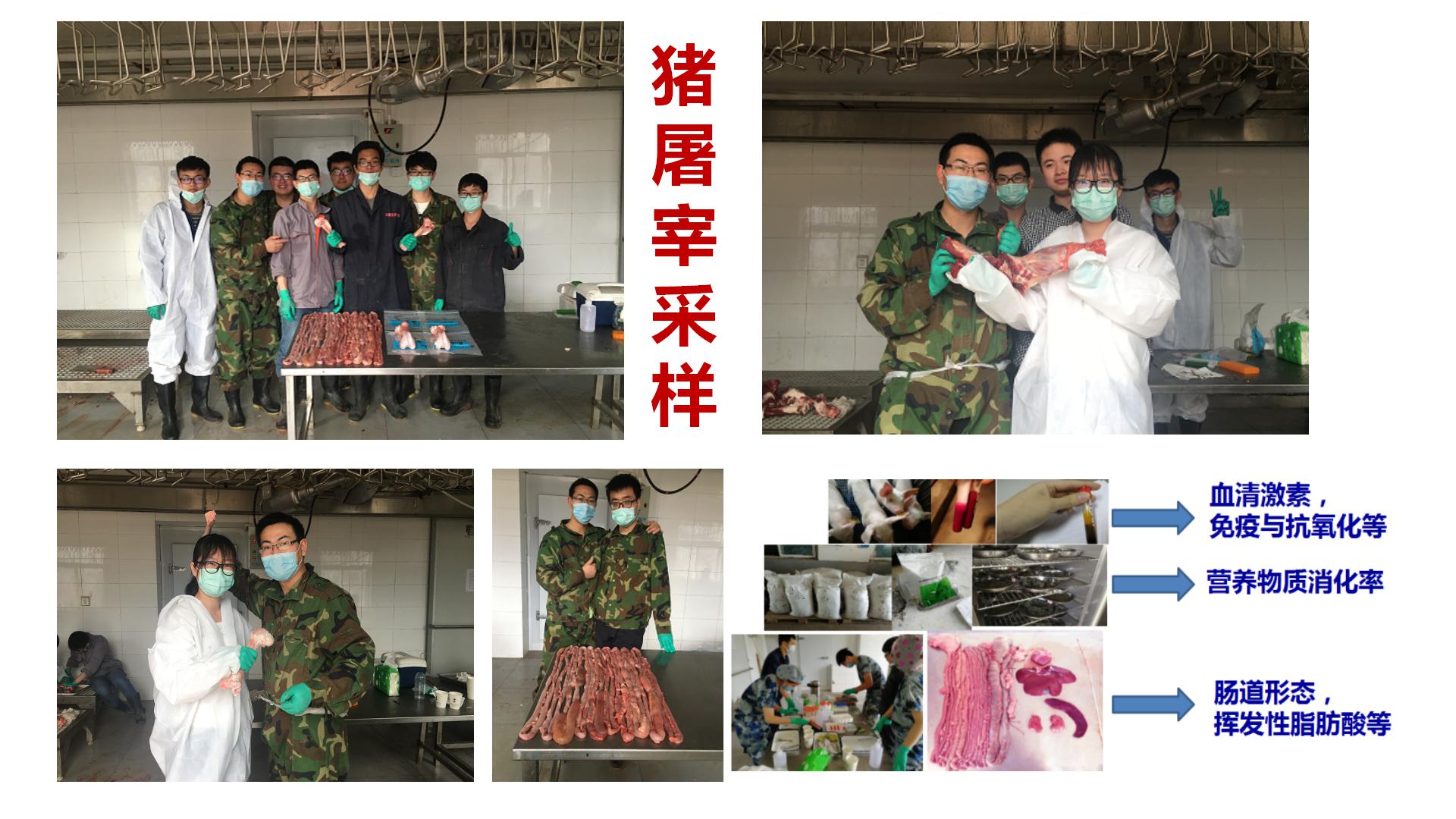 朴香淑最终版2020两广畜牧兽医高峰论坛2020.12.6- 朴香淑-new版_11.jpg