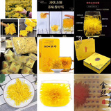 金丝皇菊
