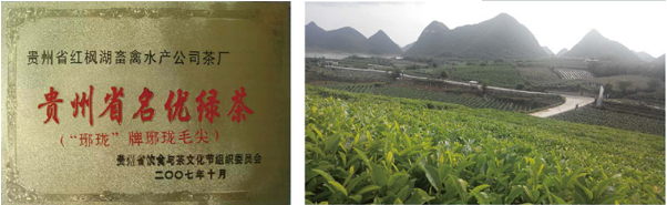 贵州农垦 茶叶.png