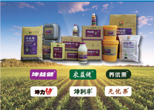 天津坤禾1.png