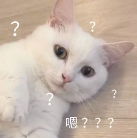 鲜果.png